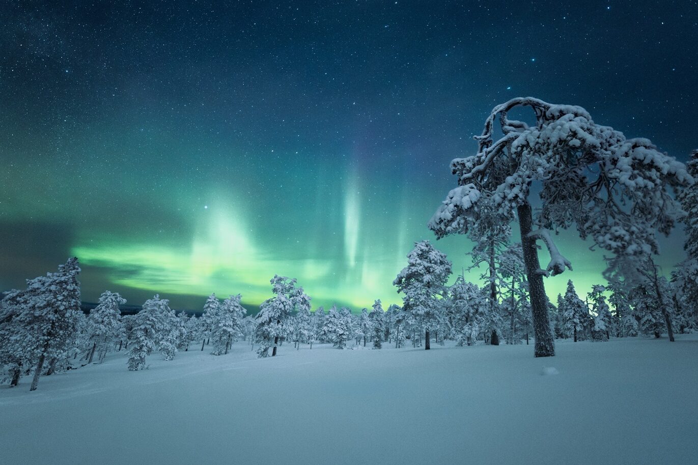 santa claus in lapland