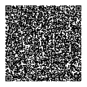 qr bea papanoelenlaponia